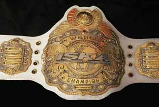 kickboxing championship belt
