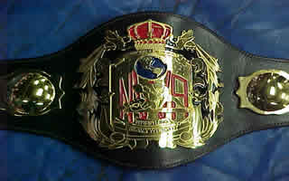 wrestling champion belts
