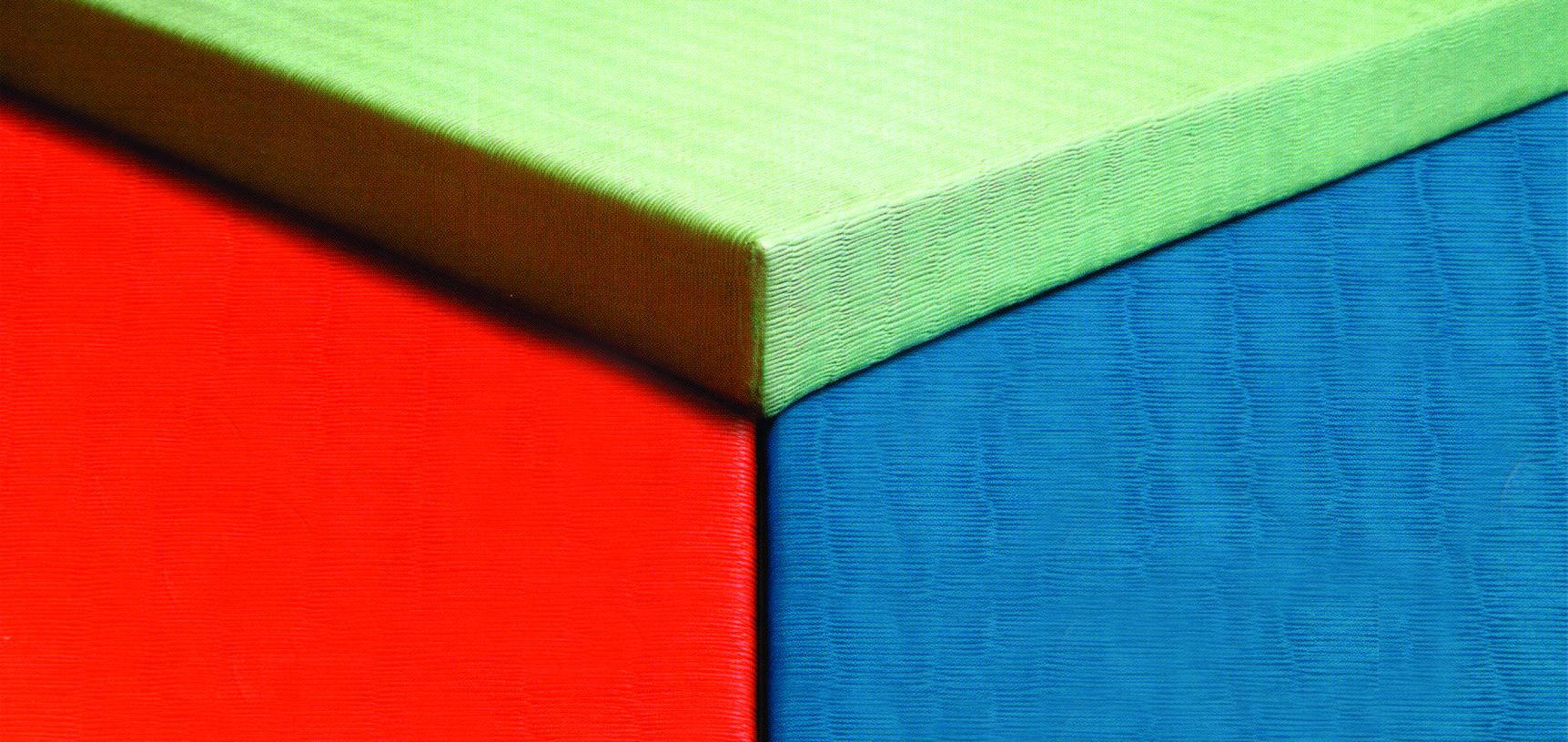 Agasi Judo Tatami Mat Agasi Judo Tatami Mat